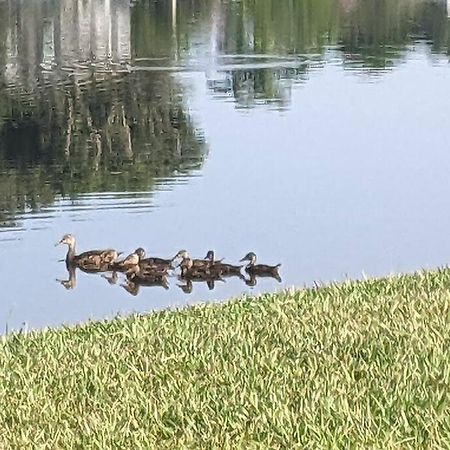 Port Saint Lucie A Little Piece Of Heaven- Peaceful Lake View Apartment- 1 Min From I95 And Turnpike Port St. Lucie Esterno foto